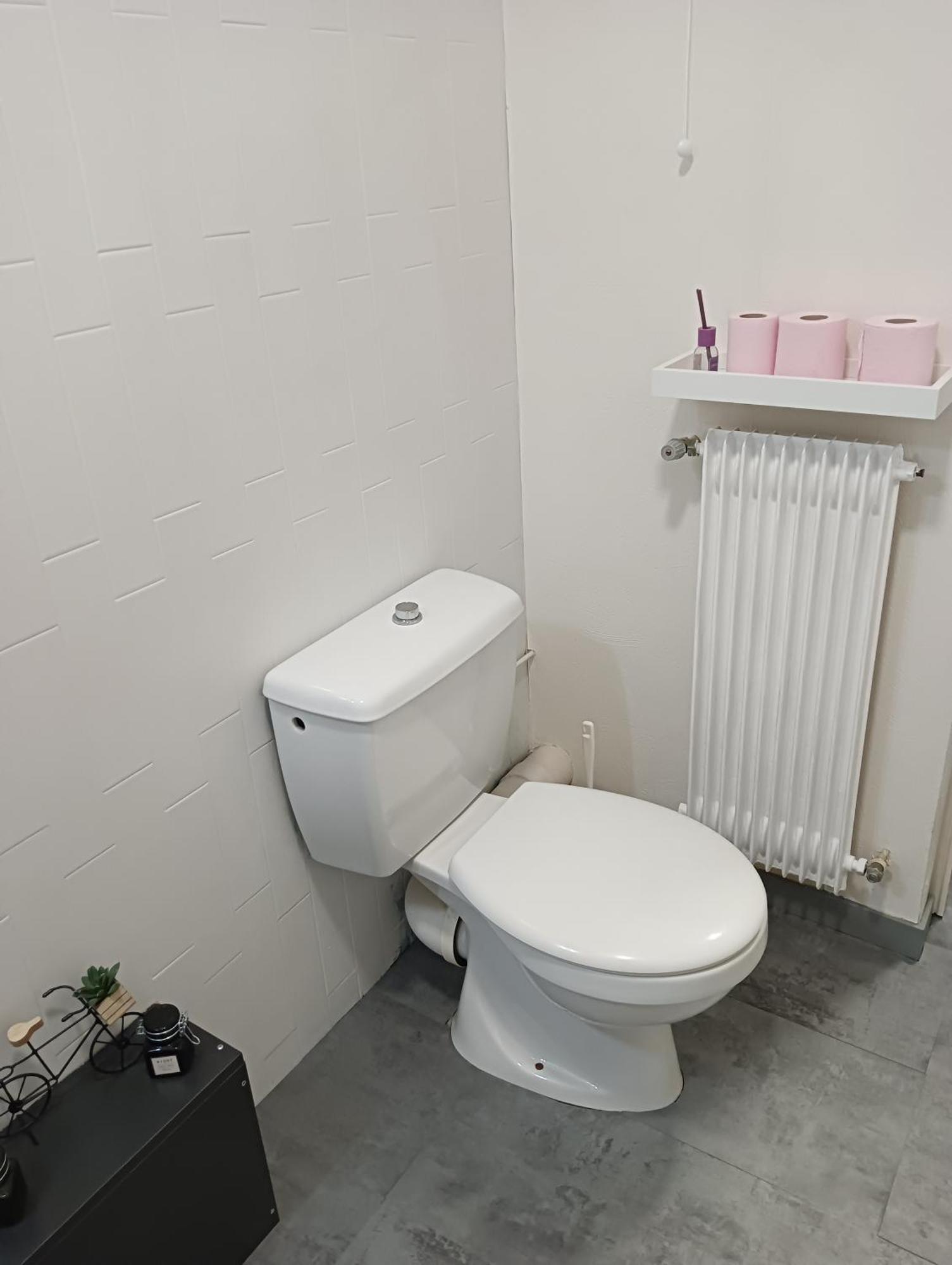 La Marjolaine Apartment Annecy Luaran gambar